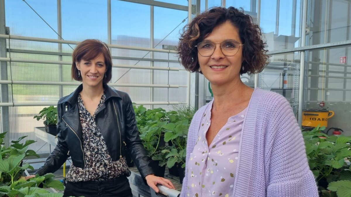Aantal patentaanvragen daalt, maar niet bij Globachem