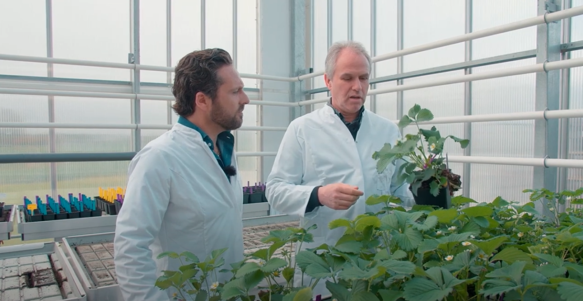 VTM met “Vlaanderen vraagt” op bezoek bij Globachem